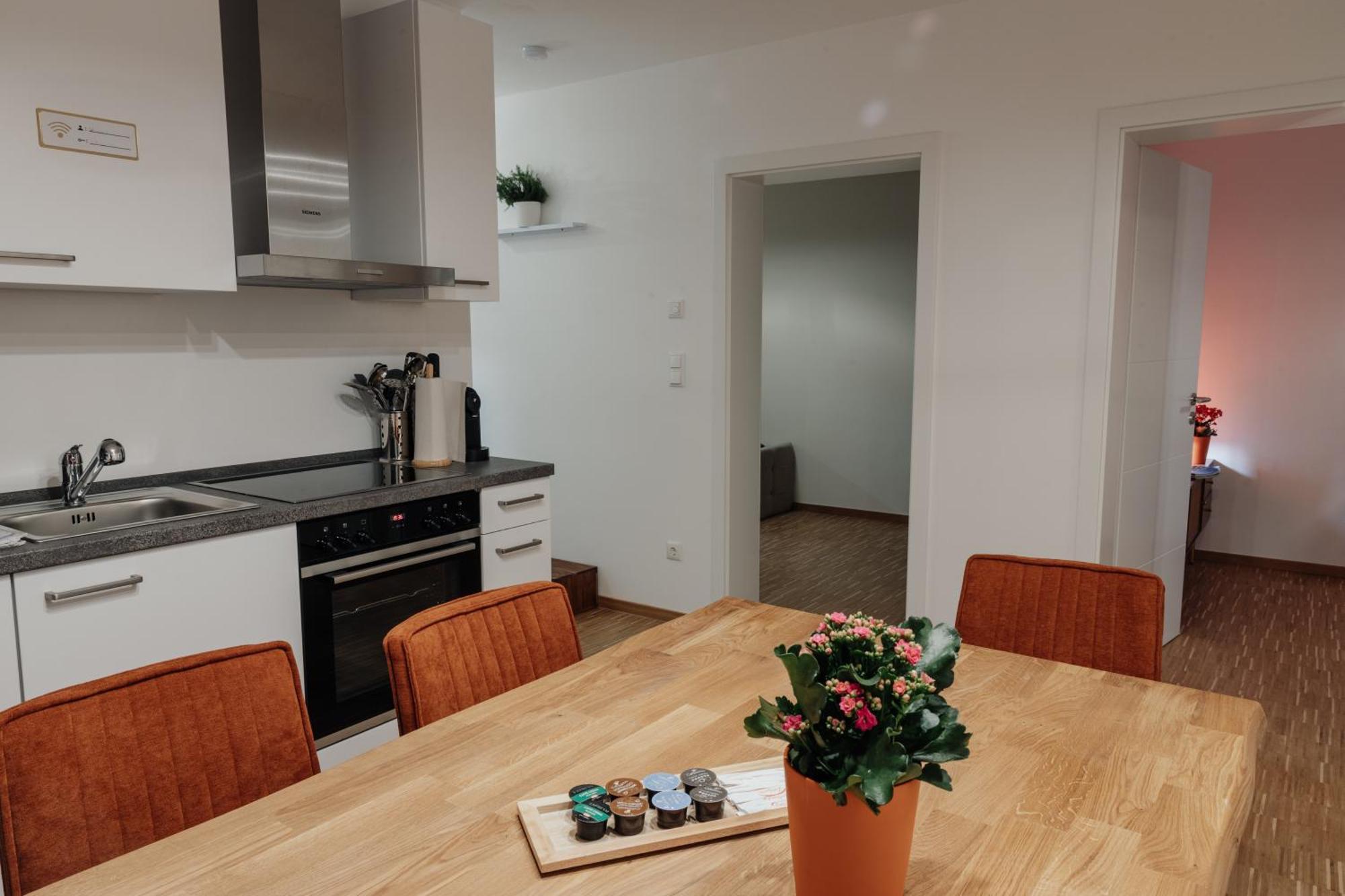Passaus Motto Appartements! Solo - Paerchen - Familien - Gruppen Habitación foto
